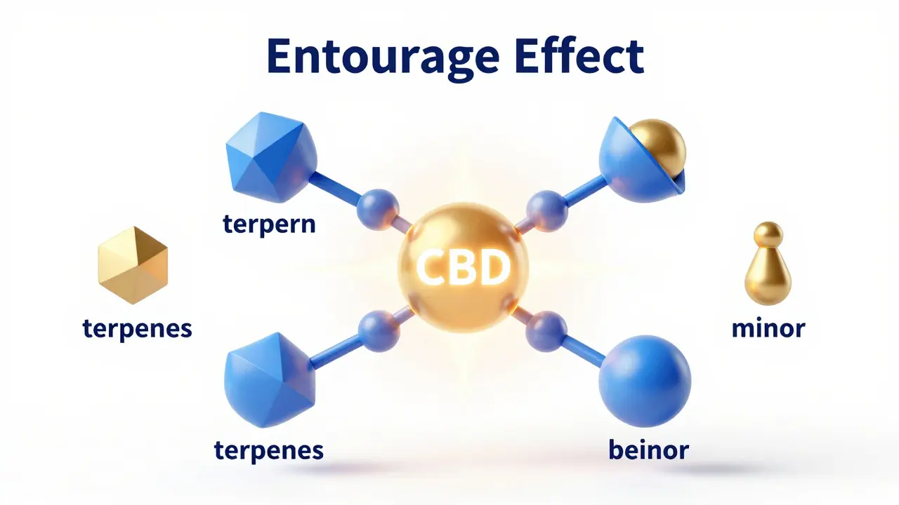 Abstraktní ilustrace entourage efektu ukazující synergii kanabinoidů a terpenů.