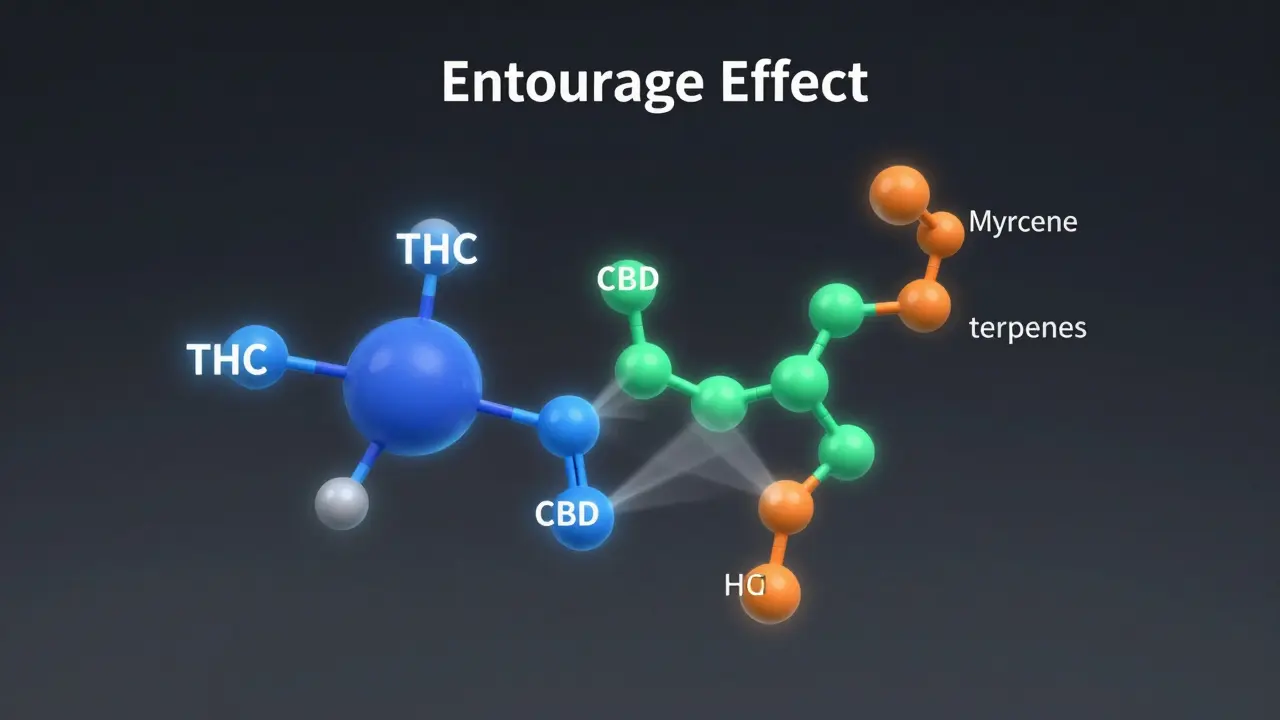 Konceptuální ilustrace molekul THC, CBD a terpenů